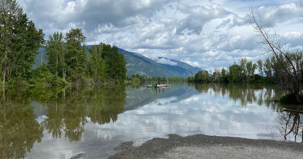 Rising water on the river Bonners Ferry Herald